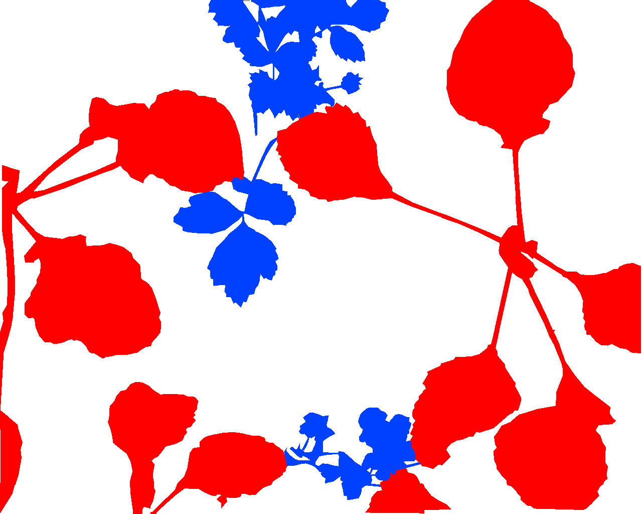 Label 613